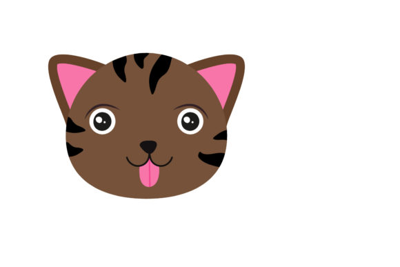 Looking White Cat Funny Flat Face: A Designer Review