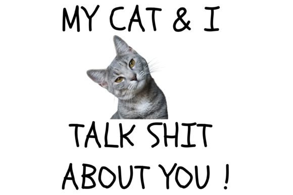 My Cat I Talk About You: A Designer Review