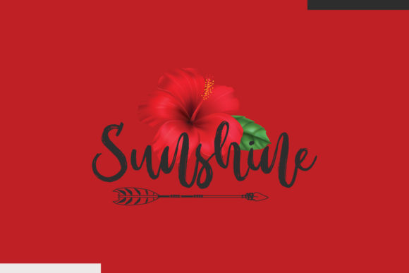 Sunshine Funny SVG Design: A Designer's Review